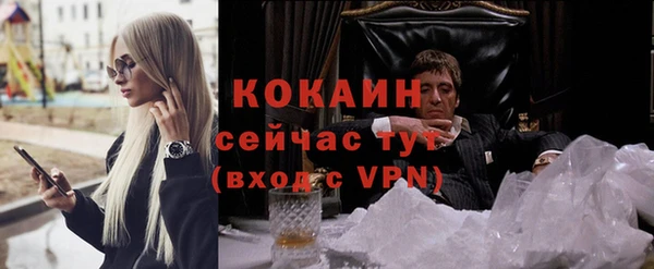 твердый Аркадак