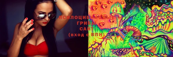 ПСИЛОЦИБИНОВЫЕ ГРИБЫ Арсеньев