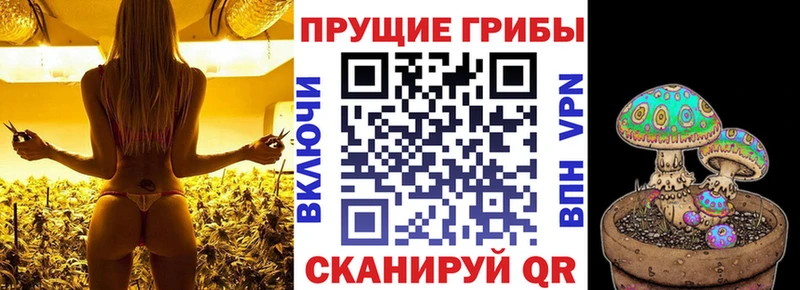 Галлюциногенные грибы мицелий как найти наркотики Чаплыгин